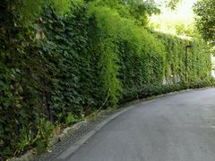 -沃阁巴厘原墅餐厅