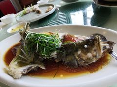 清蒸鱼-清心鸡沙田乳鸽店·非遗传承(粤垦路店)