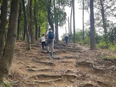 -黄埔油麻山森林公园