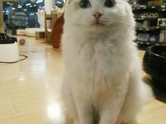 -宠物世家(仲盛世界商城店)