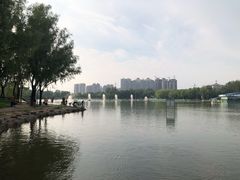 -森林公园(尖草坪区)