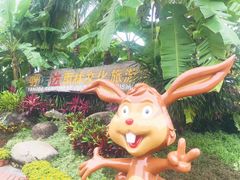 -呀诺达热带雨林