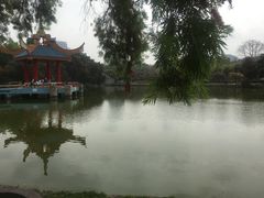 -金砂公园