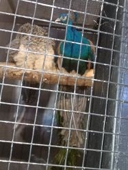 -酷嗒动物文化乐园(cutezoo西溪乐天城店)