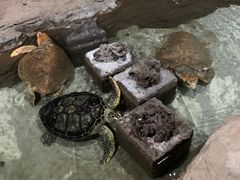 -杭州海底世界