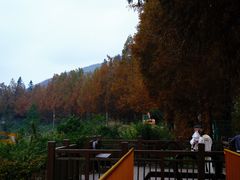 -东白山