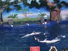 -石家庄极地海洋世界