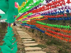 -紫颐香薰山谷景区