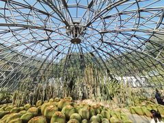 -深圳仙湖植物园