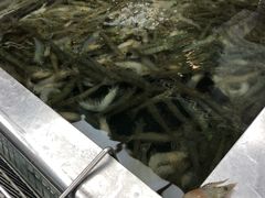-盒马鲜生(大成店)