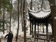 -四明山国家森林公园