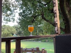 -申粤轩酒楼·三十年粤菜经典(丁香花园店)
