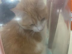 -美迦爱-牙专科·兔科·骨科诊疗中心(北苑店)
