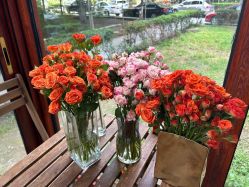 -JC·YOGA静禅瑜伽普拉提