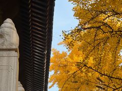 -红螺寺