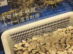 -烧蠔帮·生蚝海鲜牌档(观海店)