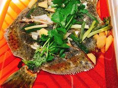 豉油元气蒸多宝鱼-盒马鲜生(宝地店)