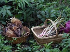 -大蓉和(双楠店)