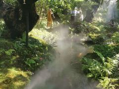 -Chom Cafe and Restaurant