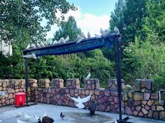 -J Create城市露营咖啡·简餐·宠物(上海动物园店)