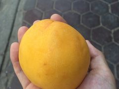 -清真益鑫羊肉手抓馆(南大街店)