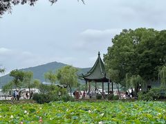 -无锡蠡湖国家湿地公园-蠡园