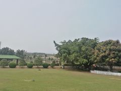 -侯臣咖啡文化村