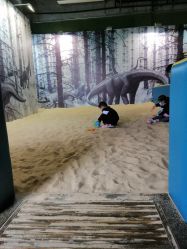 -恐龙探索乐园(磁器口店)