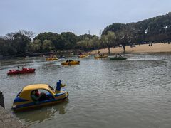 -上海方塔园