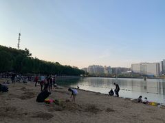 -天鹅湖体育公园