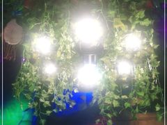 -大哈福烧烤·海鲜·家常菜(延安三路店)