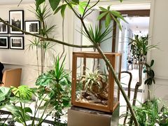 -一尺花园(安和花园店)