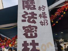 -猫的魔法密林(衣裳街店)