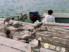-南大港湿地风景区