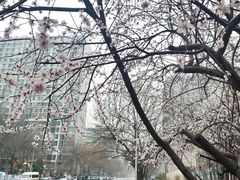 -御仙都北京菜馆·烤鸭店(双井店)