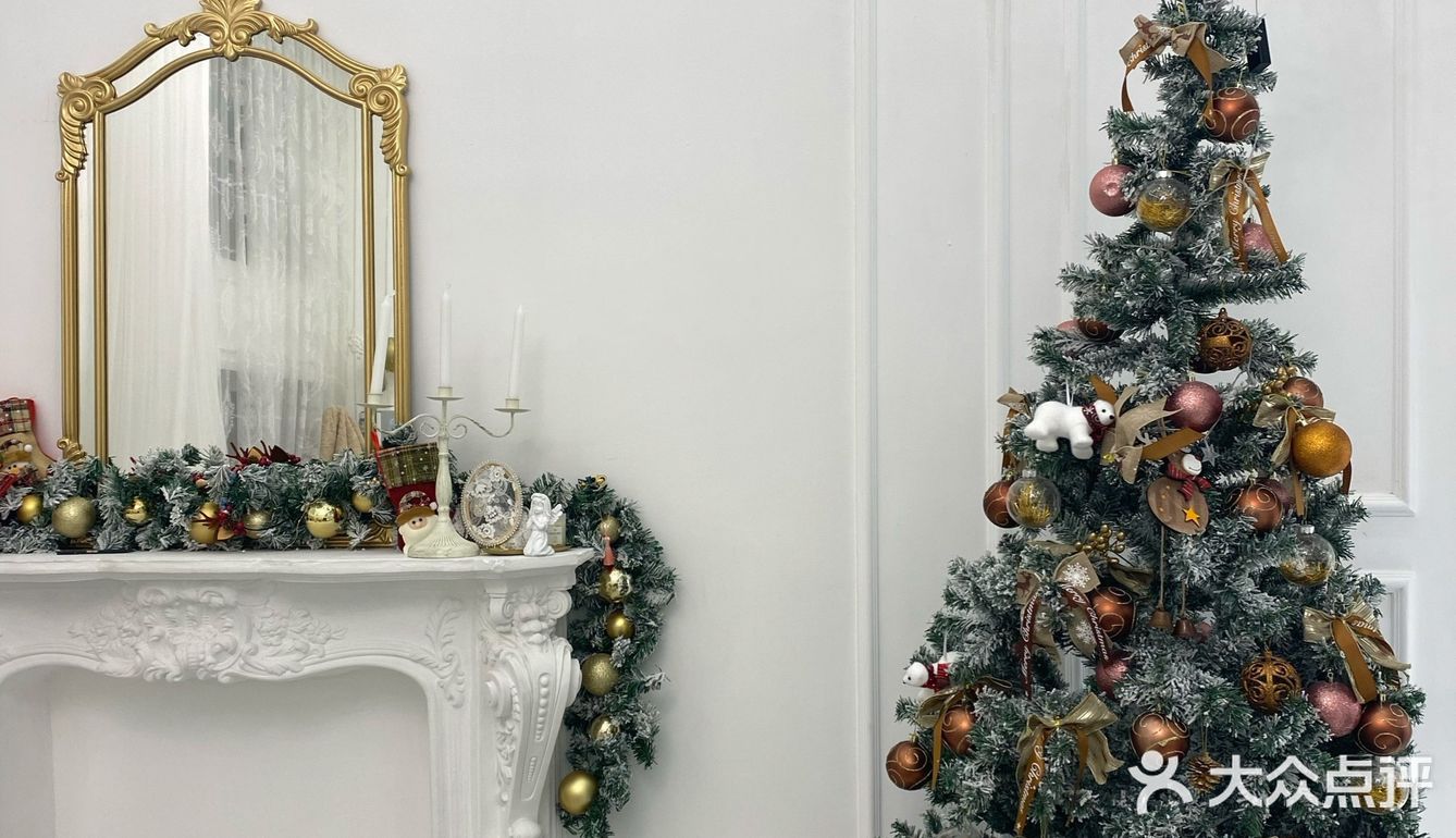 成都探店｜可爱家的狗狗也太好rua了