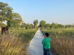 -汉长安城未央宫国家考古遗址公园