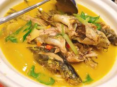 黄焖寻龙鱼-饭怕鱼(阳光100店)