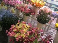-KKV(天津津南吾悦广场店)