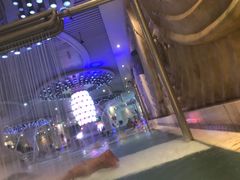 -水晶之星洗浴温泉汗蒸