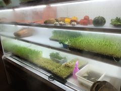 -大龙老火锅·总店(龙头寺店)
