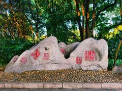 -柳侯公园