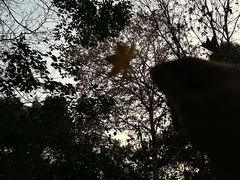 -杭州半山国家森林公园