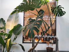 -the fall kaffe乐否咖啡