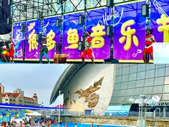 -海合安天津极地海洋公园