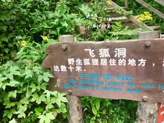 -峡谷浮石林景区