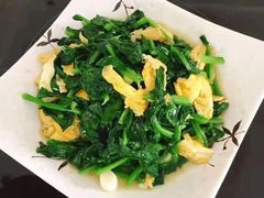 -天鹅到家·保姆月嫂育儿嫂(总店)
