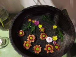 -素可SPA