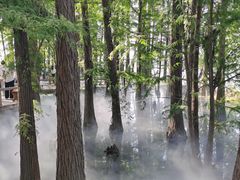 -东湖落雁景区