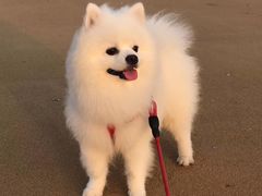 -烟台金沙滩海滨公园